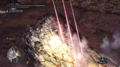 Professional back scratcher