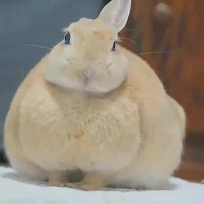 Whatever happened to blue?