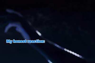 The Witness is literally me