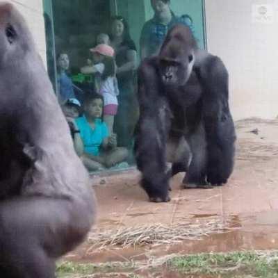 That’s pretty much what everyone looks like when trying to avoid the rain!