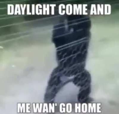 The new monke anthem