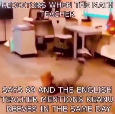 reddit moment :wholesome: :helpful: