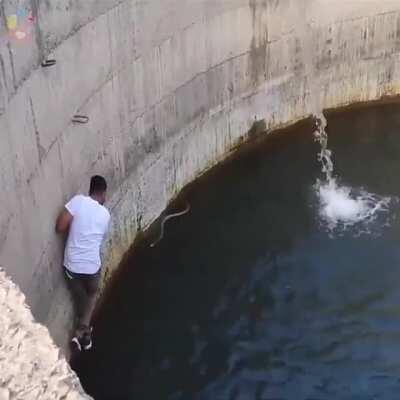 Youth jumps into the well to save a drowning King cobra