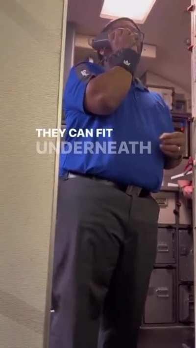 Hilarious SW Flight Attendant