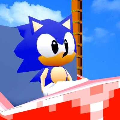 the sonic the hedgehog dick smasher 🥶🥶🥶🥶🥶🥶