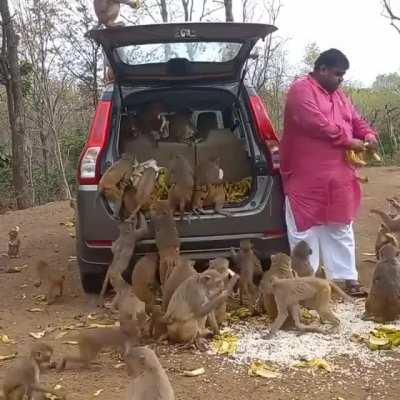 Feeding the whole community