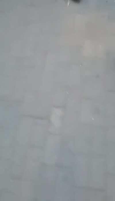 操你血妈!!! I can't breathe!!!!!!