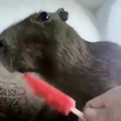 Nome da segunda musica por favor😭🙏