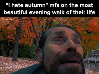 autumn is nice