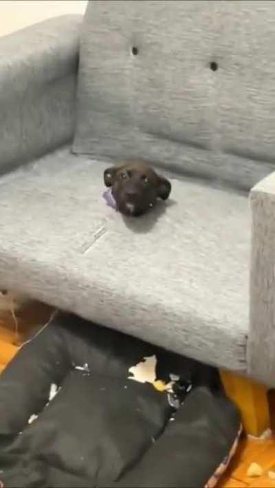 It wasn’t him, I believe him