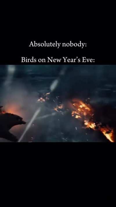 NoglaOfficial - Video #0681