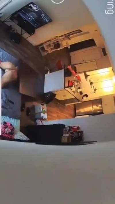 Cat bonked her horny ass🐈🍃