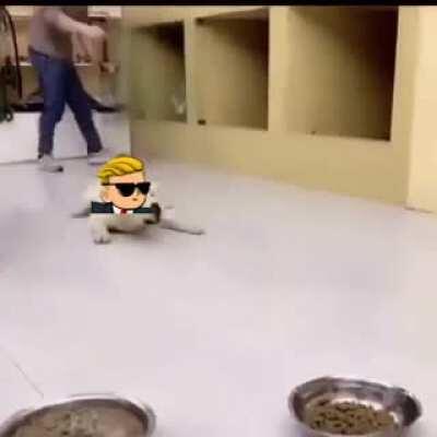 Looking forward to 2021