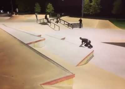 This is how you’re supposed to use a skatepark right?