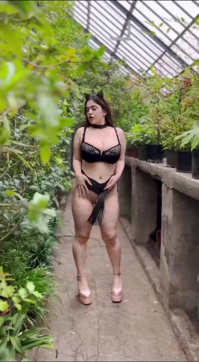 My lush feline body is so juicy, you won't be able to resist this temptation[OC]