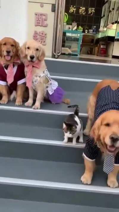 When your loved one says you don't want to be in the picture.