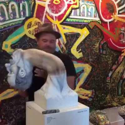 A paper 'sculpture', those always creep me out..