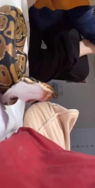 beautiful boy gets soft nose boop