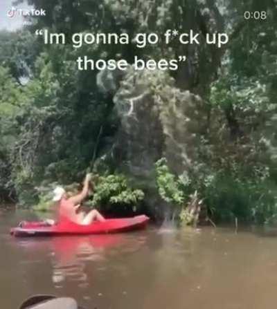 I'm gonna go f*ck up those bees