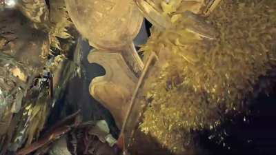 This scene alone deserves theater treatment, holy hell.