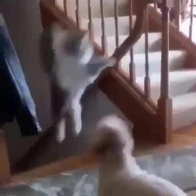 Oh god, get this thing off me!