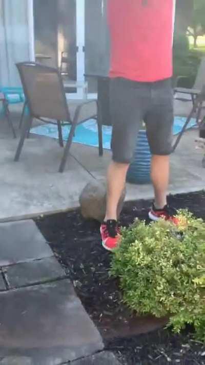 Man picks up a snake and gets bitten