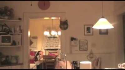 Batman supports Justice and only Justice