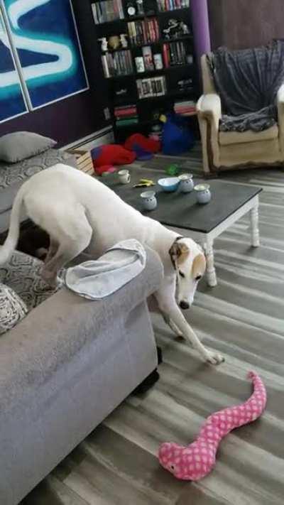 Heard crying upstairs and found him trapped