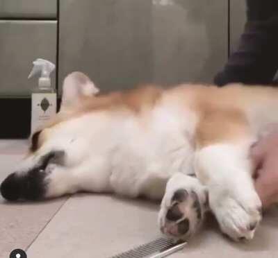 Stop. Unhand me. I said no. No. No! Ok, keep doing it.