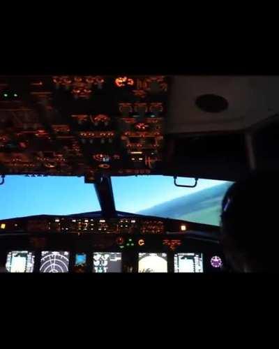 I wonder what this does! >:D