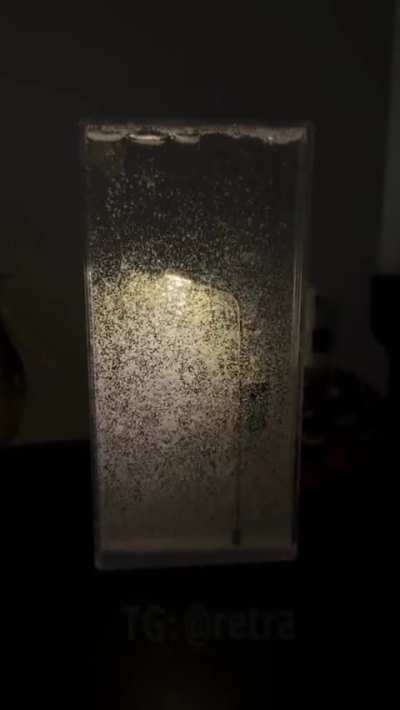 Джингл Белс2. Зимний ночник