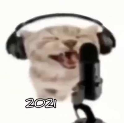 CAT MAKING GAINS?!??! 😳😳😳