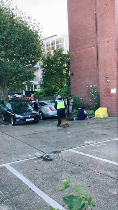 I love how the good people came to protect them. 