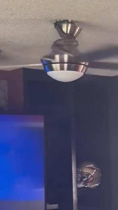 Now I have to be afraid of snakes coming out of the ceiling too?!