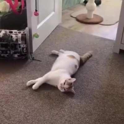 That's a good place to lay