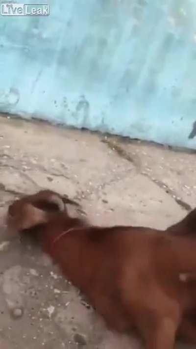 There are some people send in this world do to save life's ❤️❤️