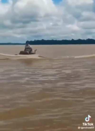 Nothing to see here, just a guy with a motor mounted to his ginormous balls.