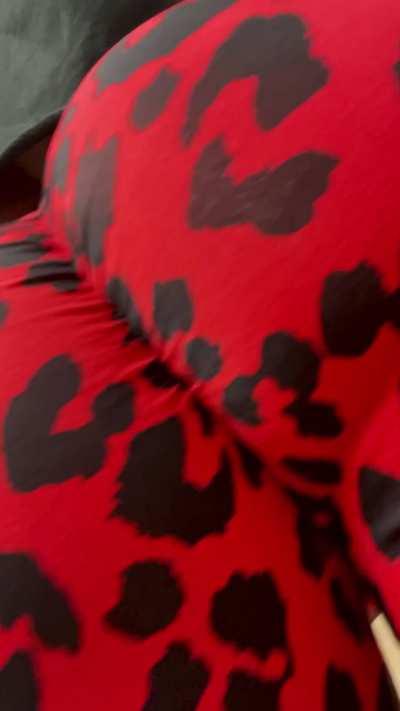 Would you follow this Latina booty back to my place