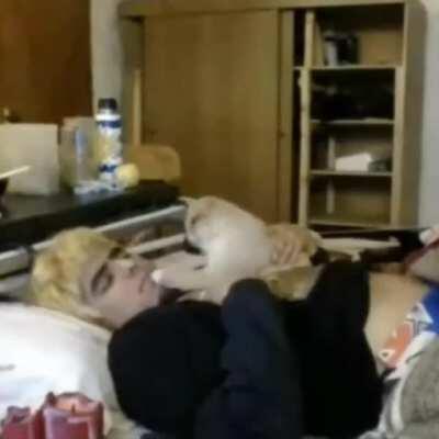 corxea con risa chistosa