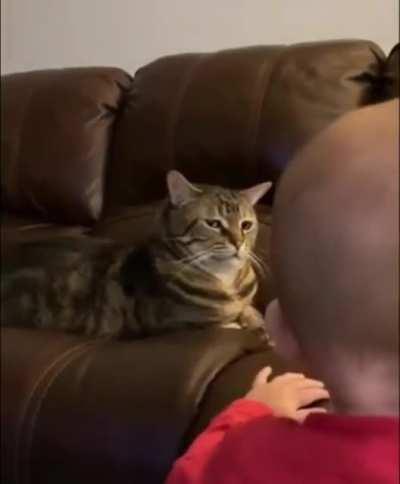 DOES YoUr Cat scrATch?,WorSE, hE jUdgeS…