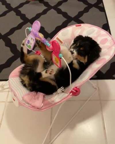 When people ask when I’m having kids