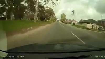 Truck runs a stop sign, hits a car and another truck