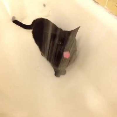 *Mleming Intensifies*