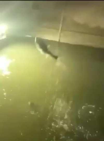 У них своя атмосфера