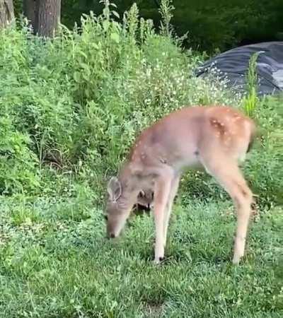 Любовь это...