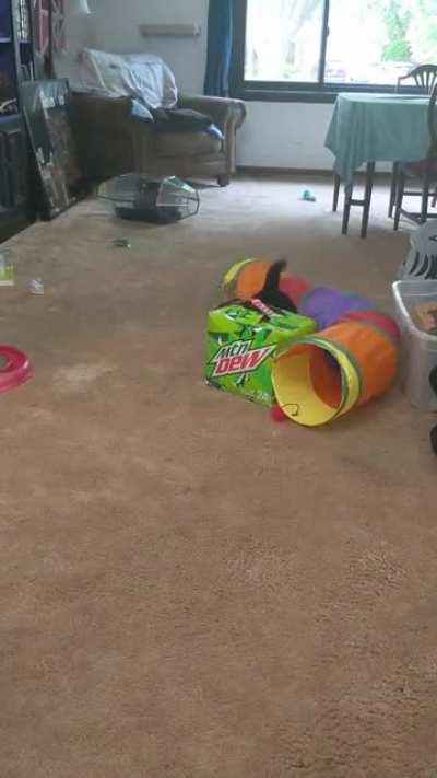 They nearly got him.