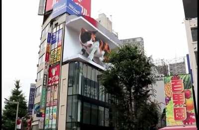 4K, 3D screen in Tokyo