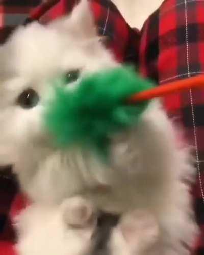 Hooman Give it to me!