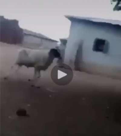 Вот почему в боевых искусствах существуют весовые категории