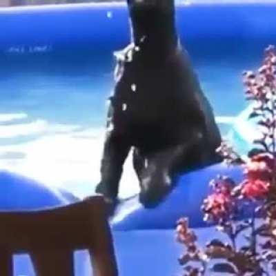 ELE PERCEBENDO A CÂMERA